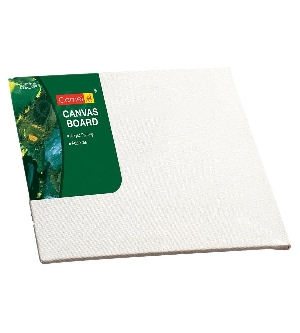  Camlin Canvas Board